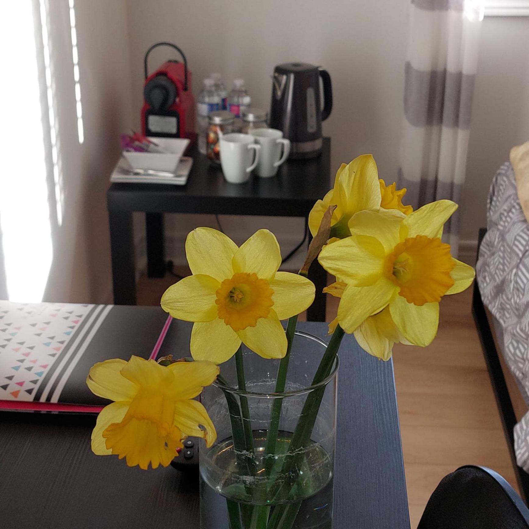 Nimo Homestay 궬프 외부 사진